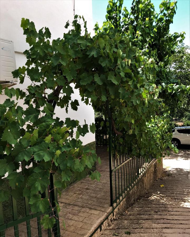 Alojamientos Loma De Mariangela Coto Rios Ngoại thất bức ảnh