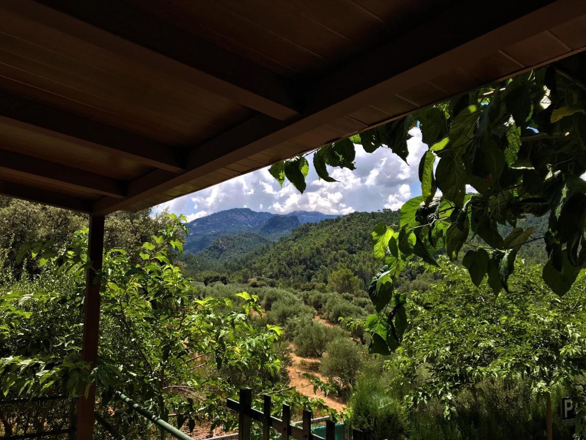Alojamientos Loma De Mariangela Coto Rios Ngoại thất bức ảnh